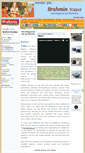 Mobile Screenshot of brahmintoday.org